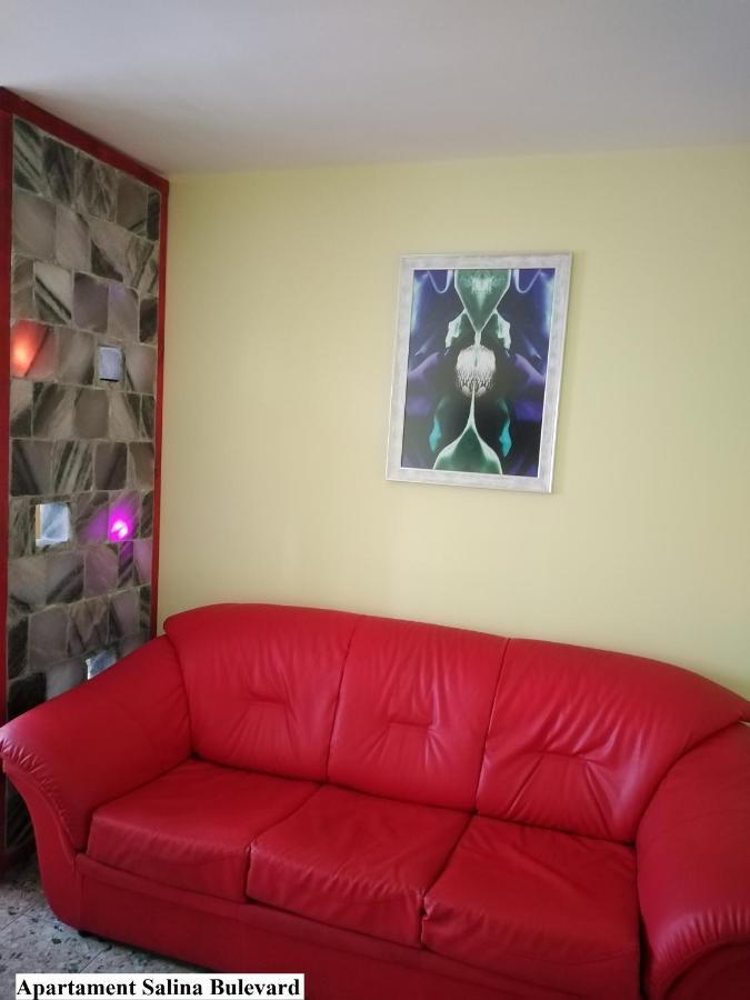 Apartament Salina Bulevard Alba Iulia Esterno foto