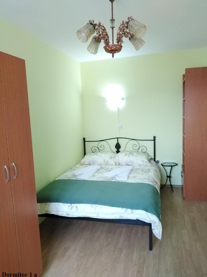 Apartament Salina Bulevard Alba Iulia Esterno foto