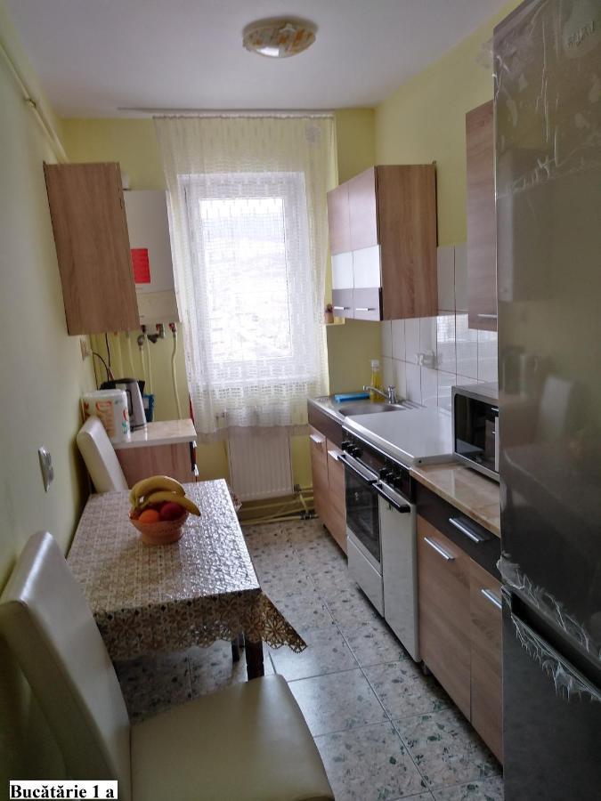 Apartament Salina Bulevard Alba Iulia Esterno foto