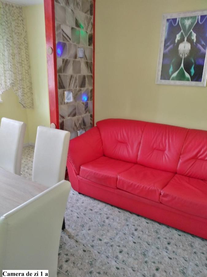 Apartament Salina Bulevard Alba Iulia Esterno foto