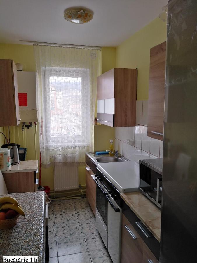 Apartament Salina Bulevard Alba Iulia Esterno foto
