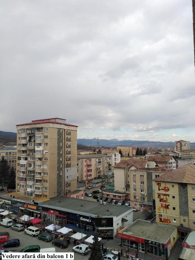 Apartament Salina Bulevard Alba Iulia Esterno foto